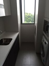 Skies Miltonia (D27), Condominium #456632661
